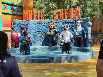 magic safari