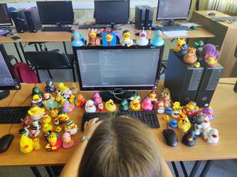 An image of a duck meeting at Slovak Camp