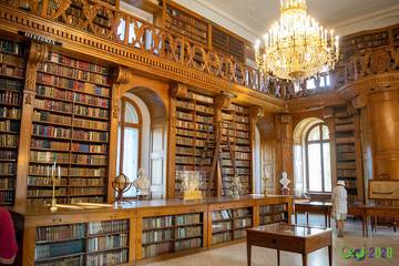 CEOI 2020: the library of Festetics castle
